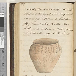 Page 157. An Antient Irish Urn in which they preserved the Ashes of the dead, 1810-17 (w / c & manuscript text)