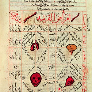 Page from the Canon of Medicine by Avicenna (Ibn Sina) (980-1037) (vellum)