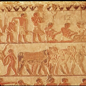 Egyptian 5th Dynasty