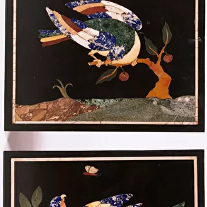 A pair of Florentine pietra dura panels depicting birds (pietra dura)