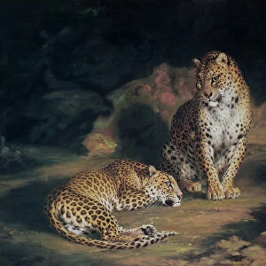 A Pair of Leopards, 1845 (oil on canvas)
