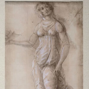 Pallas (Drawing, after 1491)