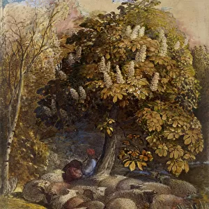 Pastoral with a Horse Chestnut Tree, c. 1830-31 (watercolour and bodycolour)