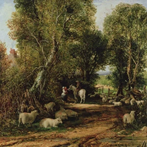 Pastoral Scene with sheep, 19th century
