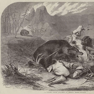 A Pawnee Indian attacked by Grizzly Bears (engraving)