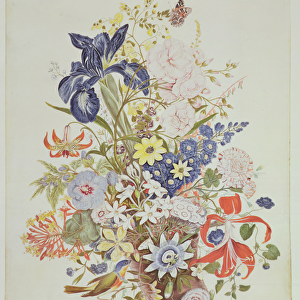 PD. 915-1973 Mixed flowers in a cornucopia, c. 1768 (w / c and gouache on vellum)