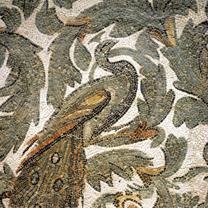 Peacock, Detail of Mosaic - 4th century A. C. Bardo Museum, Tunis
