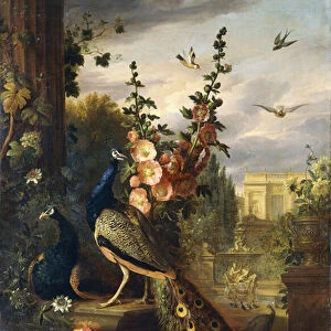 Two Peacocks on a Stone Plinth in a Garden, (oil on canvas)