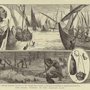 The Pearl Fishery in the Persian Gulf (engraving)