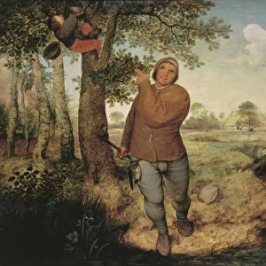 Peasant and Birdnester, 1568 (oil on panel)
