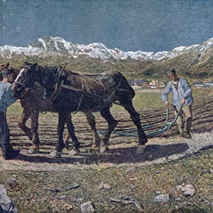 Peasants ploughing a field in the north of Italy, illustration from the magazine