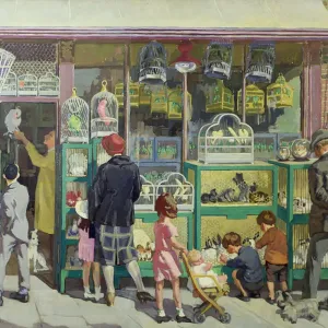 The Pet Shop The Pet Shop