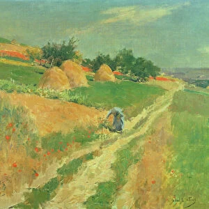 Picking Wild Flowers (oil on canvas)