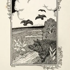 The Pig Pointer, from A Hundred Anecdotes of Animals, pub. 1924 (engraving) The Pig Pointer, from A Hundred Anecdotes of Animals, pub. 1924 (engraving)