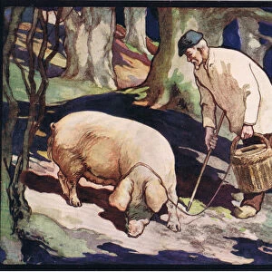 A pig searching for truffles, illustration from Helpers Without Hands by Gladys Davidson, published in 1919 (colour litho)