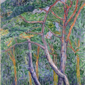Jacoba Van Heemskerck