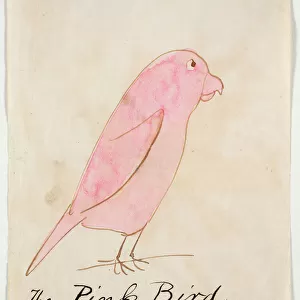 The Pink Bird, from Sixteen Drawings of Comic Birds