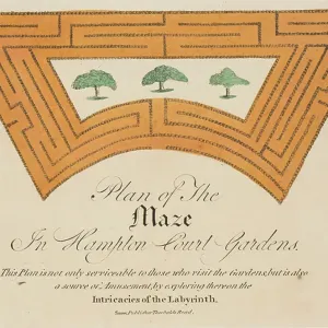 Plan of the Maze Plan of the Maze