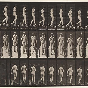 Plate 119. Descending Incline, Right Hand on Breast (Shoes), 1872-85 (collotype on paper)