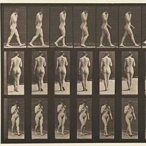 Plate 14. Walking, Right Hand at Chin, 1872-85 (collotype on paper)