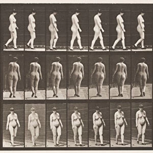 Plate 24. Walking, With High-Heeled Shoes On, 1872-85 (collotype on paper)