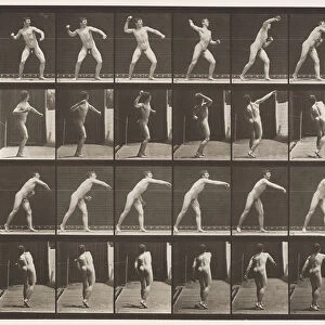Plate 286. Base-ball; Throwing, 1885 (collotype on paper)
