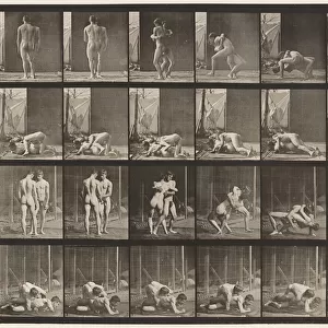 Plate 346. Wrestling, Lock, 1885 (collotype on paper)