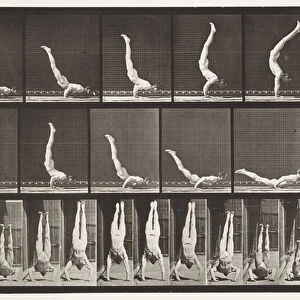 Plate 372. Acrobat, Horizontal Press Up, 1872-85 (collotype on paper)