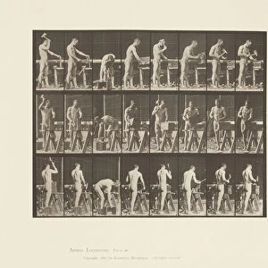 Plate 507. Carpentering, 1872-85 (collotype on paper)