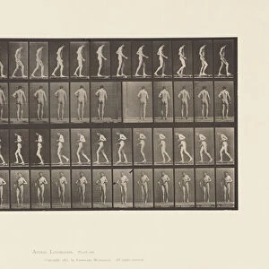 Plate 548. Lateral Sclerosis; A, B, Walking, 1885 (collotype on paper)