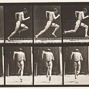 Plate 61. Running at Full Speed (Imperfect Action, Shoes), 1872-85 (collotype on paper)