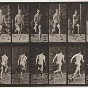 Plate 66. Running, 1872-85 (collotype on paper)