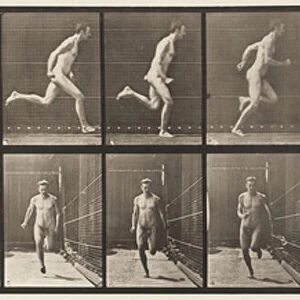 Plate 67. Running, 1872-85 (collotype on paper)