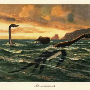 Plesiosaurus dolichodeirus in the ocean. 1908 (illustration) Plesiosaurus dolichodeirus in the ocean. 1908 (illustration)