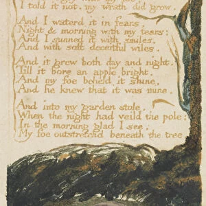 A Poison Tree, plate 40 from Songs of Experience