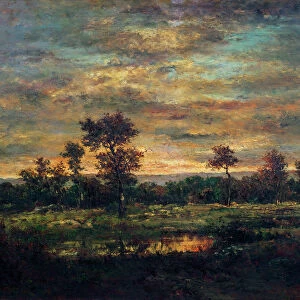 Pond at the Edge of a Wood (oil on canvas)