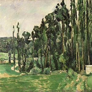 The Poplars, c. 1879-82 (oil on canvas)