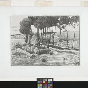 The Poplars (lithograph) The Poplars (lithograph)