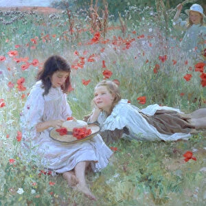 Poppies (oil on canvas)