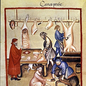 Pork production. The pig is slaughtered and the butchers cut the pieces