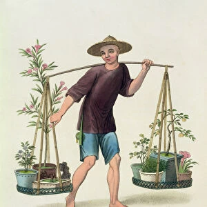 A Porter with Fruit Trees and Flowers, plate 16 from The Costume of China