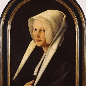 Portrait of Agatha van Schoonhoven, 1529 (oil on panel)