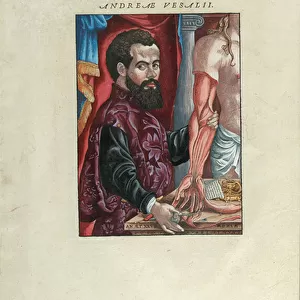 Portrait of Andreas Vesalius from De Humani Corporis Fabrica Libri Septem
