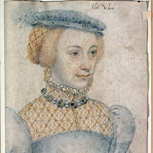 Portrait of Anne de Pisseleu, wife of Louis de Coesmes, Lord of Luce (1520 -? )