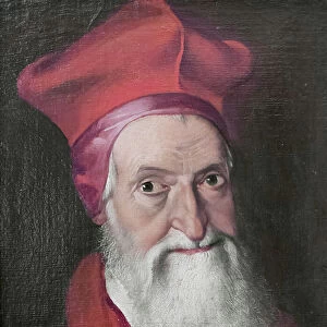 Portrait of cardinal Domenico Morone, 16th century (oil on canvas)