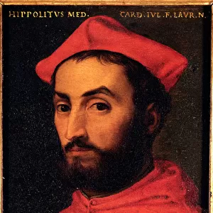 Portrait of Cardinal Ippolito de Medici (1511-1535) Painting by Allori Angelo di Cosimo
