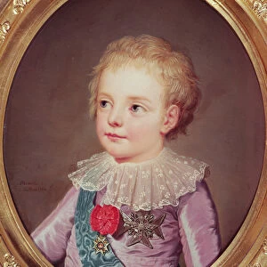 Portrait of Dauphin Louis, 1784 (oil on canvas)