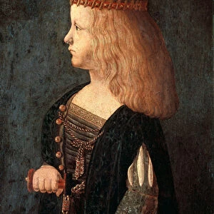 Portrait of Francesco II Sforza 1496 (oil on wood panel)