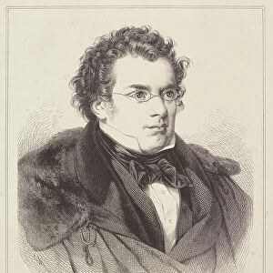 Portrait of Franz Schubert (1768-1827) (engraving)