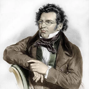 portrait of Franz Schubert (1797-1828), Austrian composer